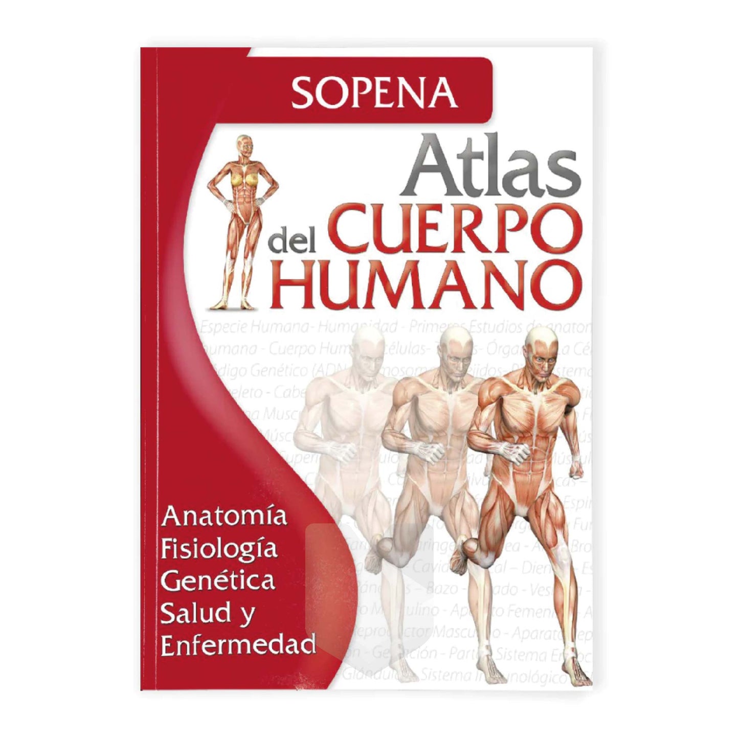 ATLAS ESCOLAR DEL CUERPO HUMANO - SOPENA