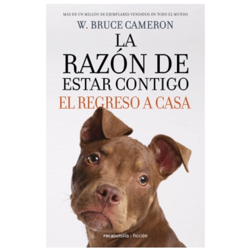 la razon de estar contigo. el regreso a casa